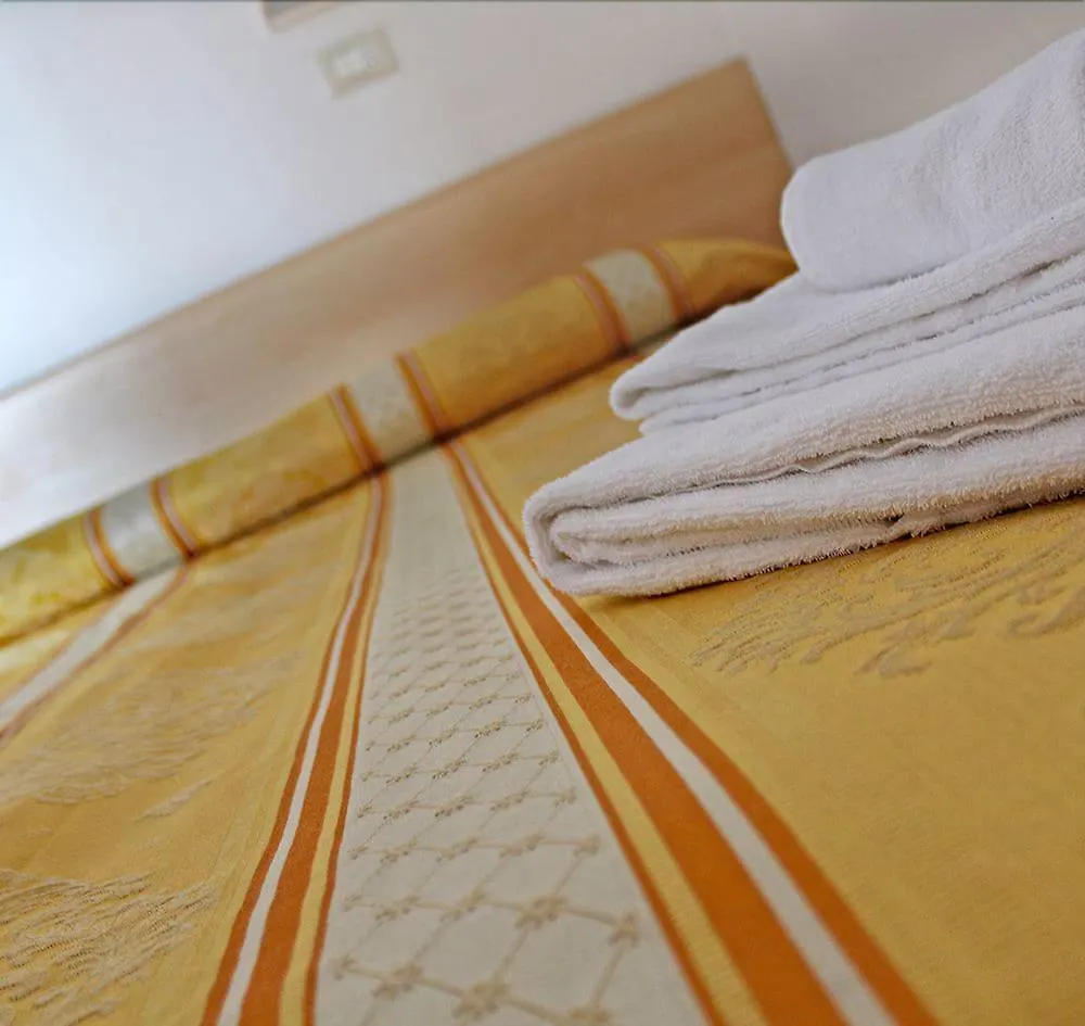 Hotel New Primula Rimini
