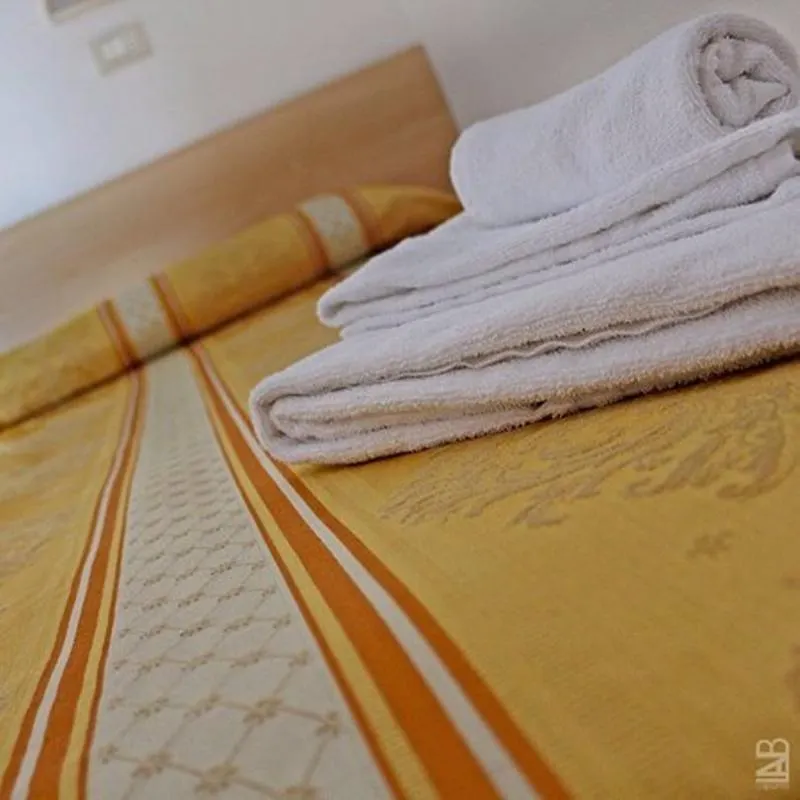Hotel New Primula Rimini Italy